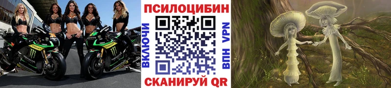 Купить  Приморск  Галлюциногенные грибы мухоморы 